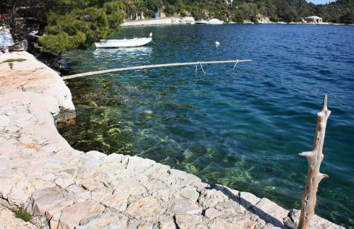 Apartments by the sea Babine Kuce, Mljet - 611 - Photo 5