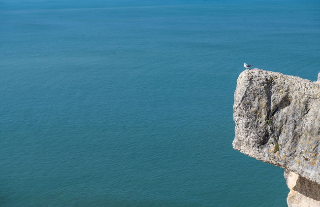 Bayview Nazaré - Foto 43