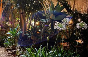 Villa Rosemary - Photo 35