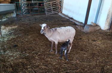 cortijo la laguna - Foto 20