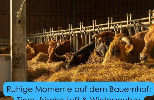 Gemütlicher Camper fußläufig zur Therme Erding - Foto 7