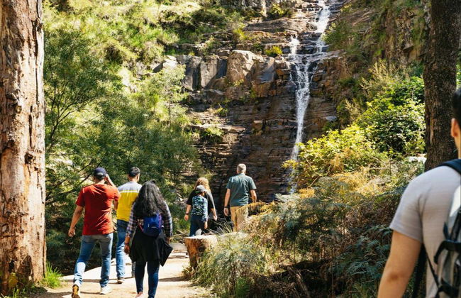 Grampians National Park Tour - Photo 4
