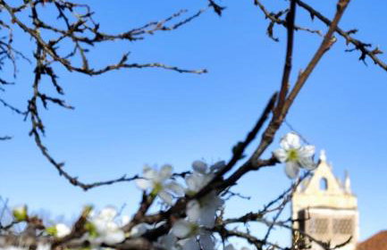 Casa de Aldea - Foto 37