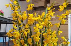 Appartamenti di Luca&Sara - Foto 11