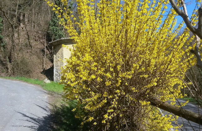 Villa Cheti - Foto 26