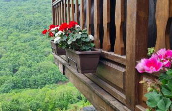 Apartamentos Rurales El Bosque de las Viñas - Photo 57