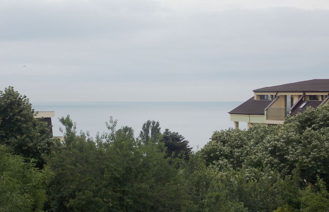 Villa Sequoia - Foto 50