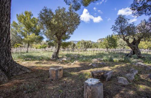 Finca Barons - Foto 34