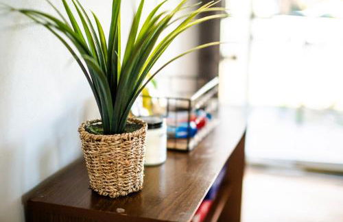 Fantastic 3BR Close to Botanical Gardens and Airport - Foto 29