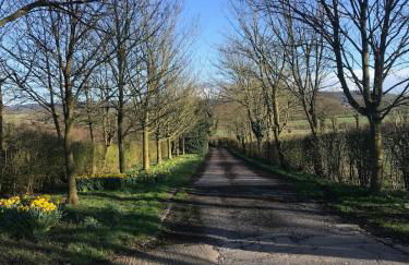 Blueberry Barn, light and airy barn conversion near Bruton - Foto 25