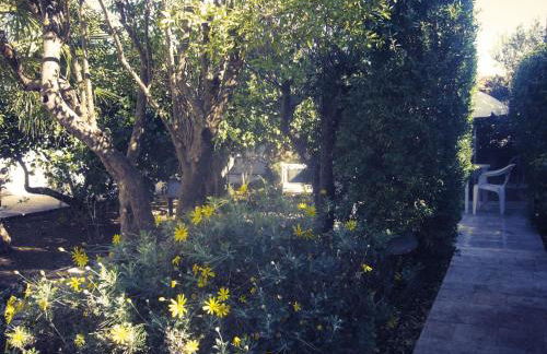 Buena Vista - Country Villa - Free Wifi, Outdoor Shower - Foto 37