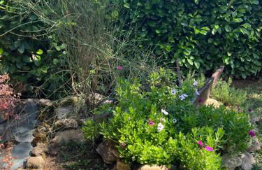 Assisi, la Noce - Foto 29