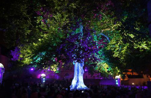 La Citadine - Photo 22