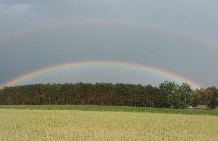 Dom wakacyjny nad jeziorem Zajączkowskim - Foto 45