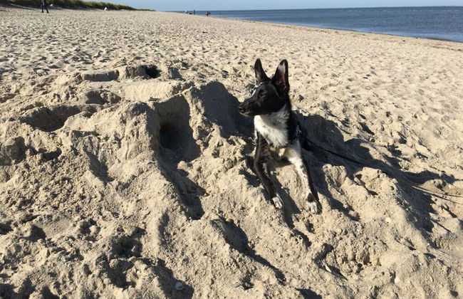 Deichwiege Modern Retreat - Foto 20