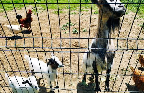 Charmant studio tout équipé - Foto 29