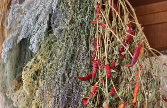 Agriturismo Ai Pradons - Foto 10