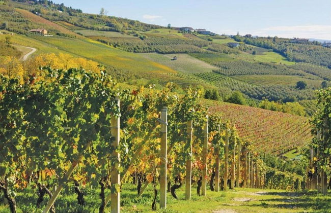 Hillview Langhe Apartment - Foto 25