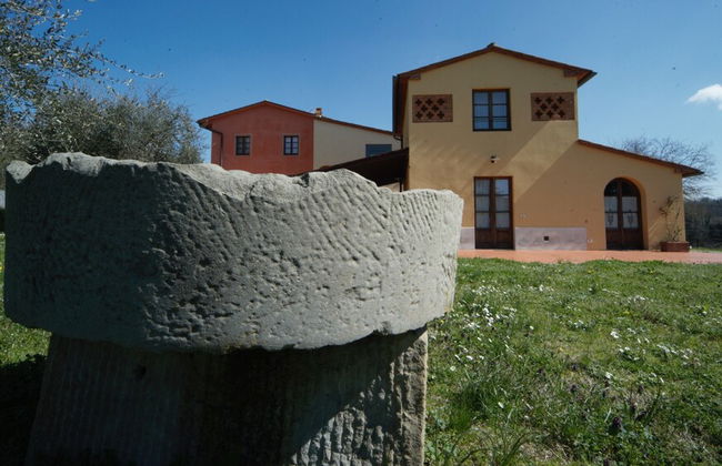 azienda agricola lo zolfino - Foto 56