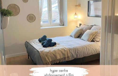 T2 cocon en hyper centre, très calme, stationnement devant l'immeuble - Foto 7