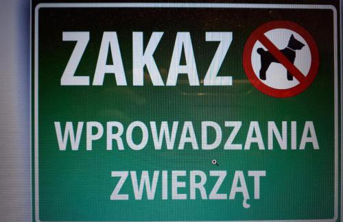 Głogów przy Starówce - Foto 18