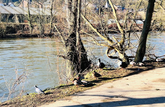 Maison proche rivière avec jardin - Foto 39
