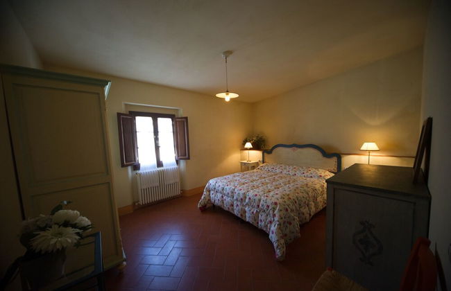 azienda agricola lo zolfino - Foto 19