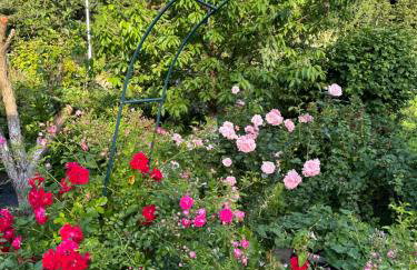 Mr. Sowa Sokolec - Foto 40