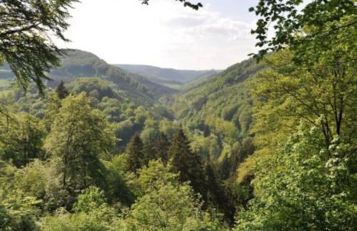 Luxuriöse Penthousewohnung mit Fernblick und vielen Wanderwegen - Foto 30