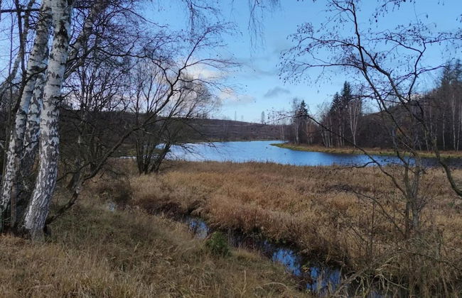 Doppelhaushaelfte in Hasselfelde - Foto 34