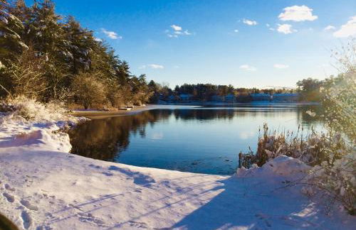 Clear Pond Suite - Photo 59