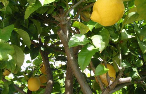 Apartments Ivan Sea View in Peaceful Lun - Photo 77