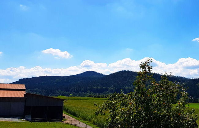 Holiday Apartment Haus Leutner Bavarian Forest - Foto 7