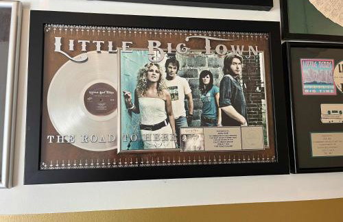 Dibs On Nashville by Maddox Hotel - Foto 35