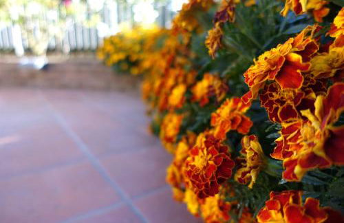 Casa Vacanze Malvarosa - Foto 61