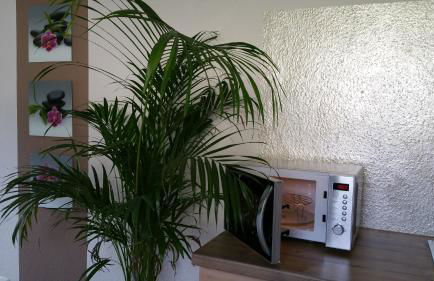 Ferienwohnung Schusi Freital - Photo 5