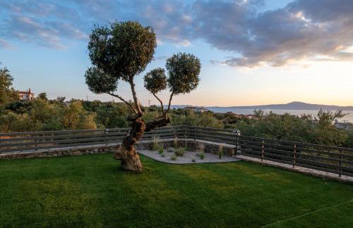 A V Luxury Apartments with Private Pools - Photo 33