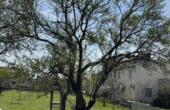 Apartments Milan - Photo 10