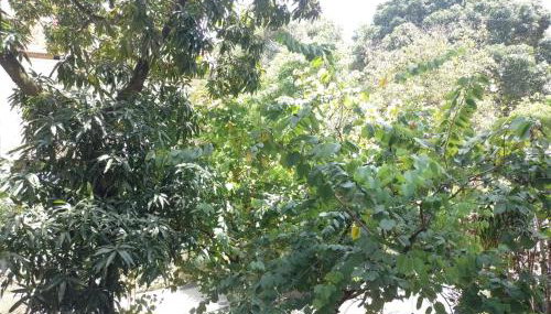 Apartamento Flamengo - Foto 5