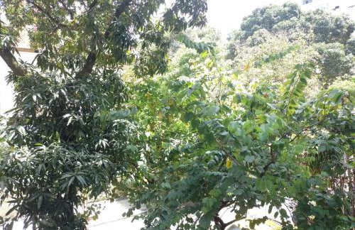 Apartamento Flamengo - Foto 5