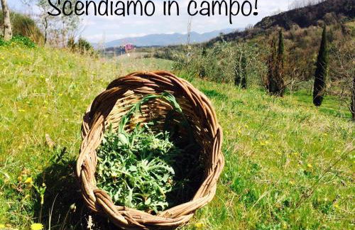 Bio Agriturismo Valle dei Calanchi - Foto 125