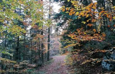 Ferienwohnung Josef Müller - Foto 56