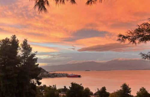 Thalantheia House - Photo 31