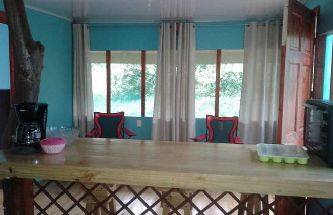 Drake Lapas - Foto 14