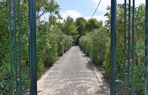 Seaside Villa in Alikes, Chalkida - Foto 10