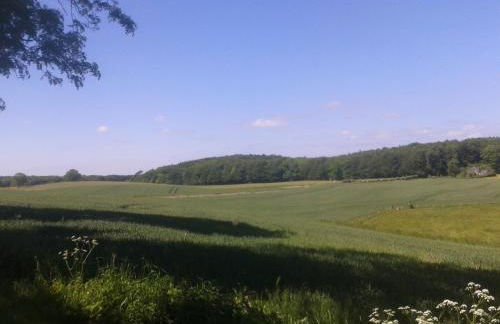 Ostsee Reetkate - Foto 66