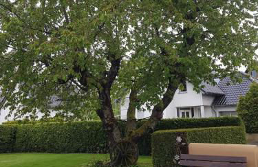 Ludwinas Pfingststube - Foto 22