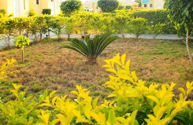 Odivin Hotel Luxury Suite - Photo 20