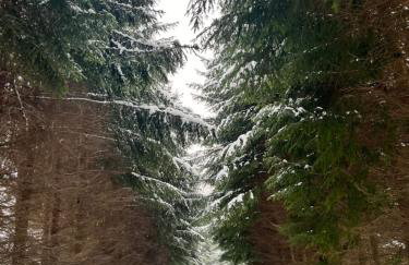 Galena i Gnejs - Foto 10