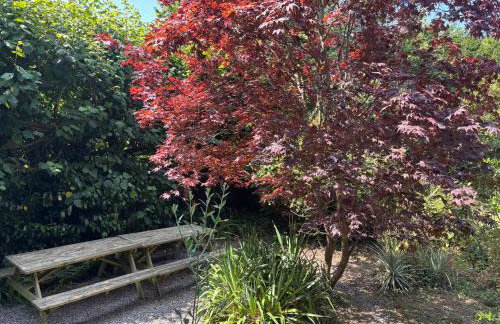Aaron's Cottage - Foto 31